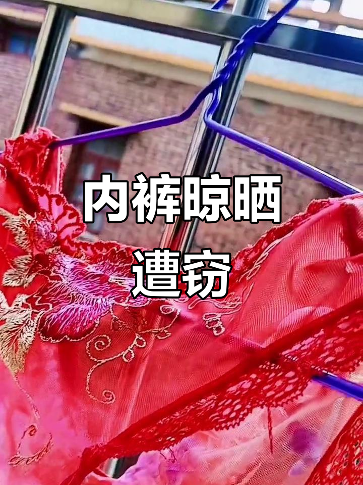 晒干内裤被偷,结果没穿又得重新洗