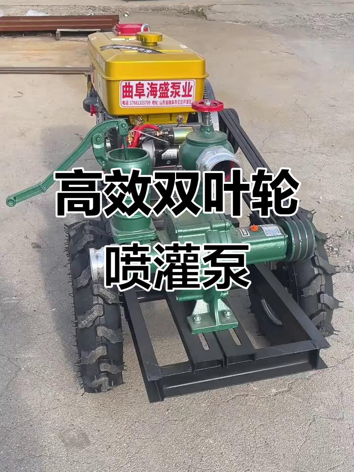 双叶轮高压水泵,150米扬程90立方流量,轻松灌溉农田