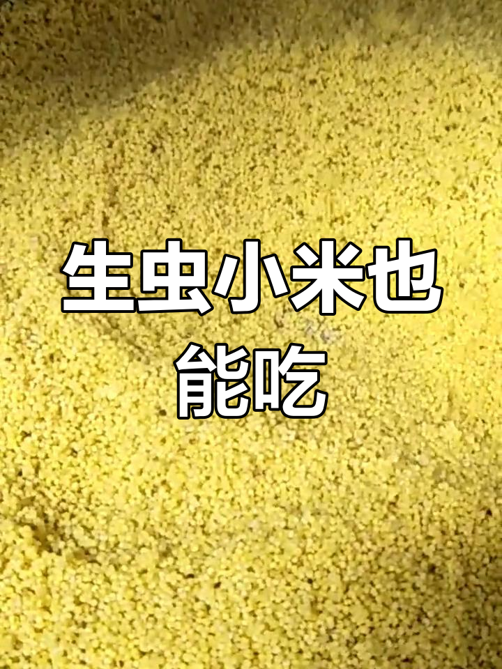 小米生虫别丢,炒熬泡茶都能去湿气