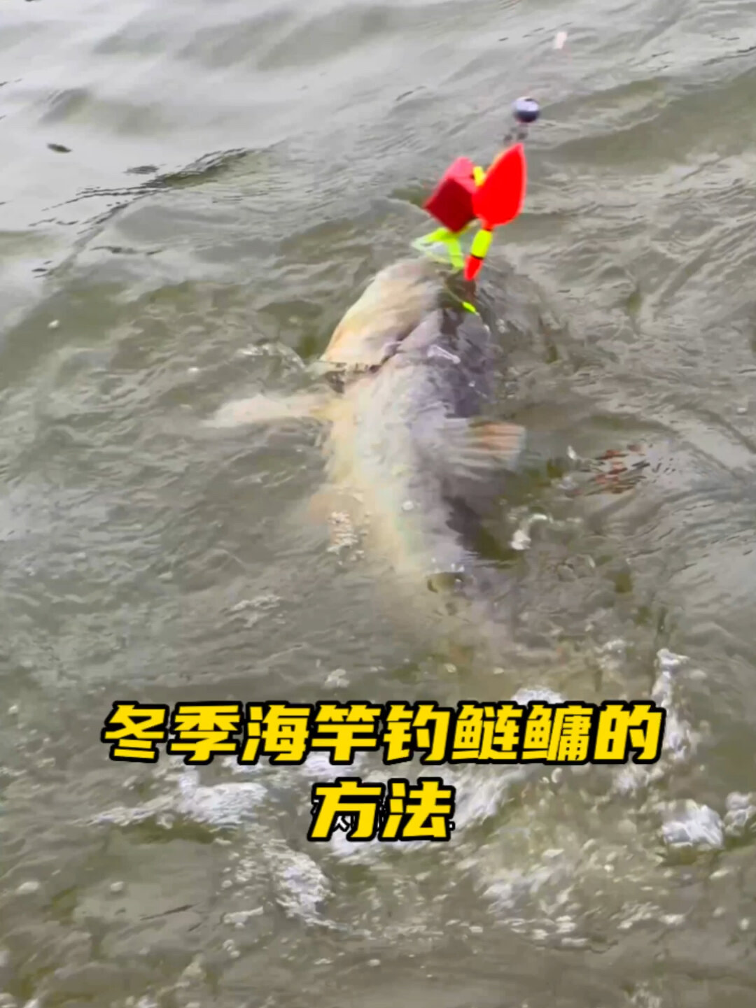 冬季海竿钓鲢鳙的方法