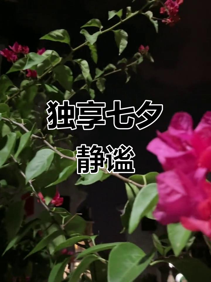 七夕独自品茶,享受一个人的宁静时光