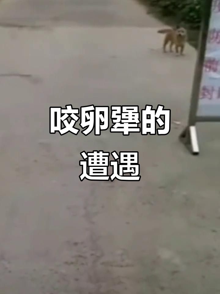 碰到个倔强的人,口罩都不戴就想出门?赶紧拉去隔离!