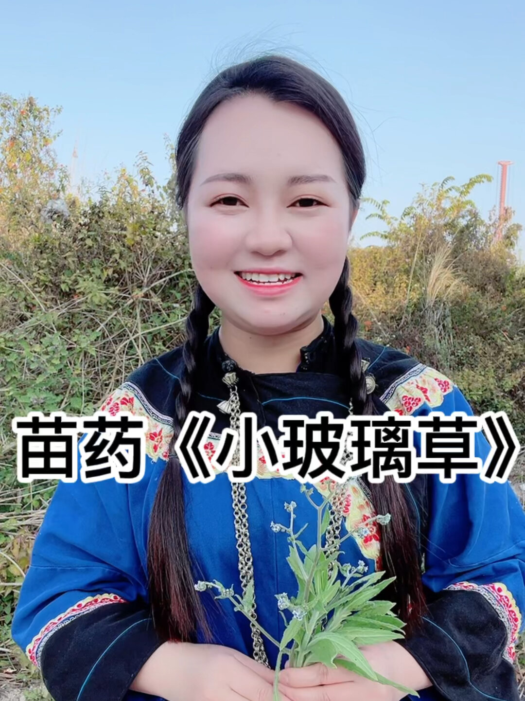 长在路旁的玻璃草你认识吗?