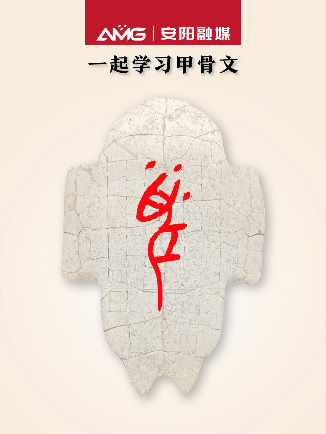 一起学习甲骨文鼠安阳甲骨文素材来源中国文字博物馆微信公众号安阳融