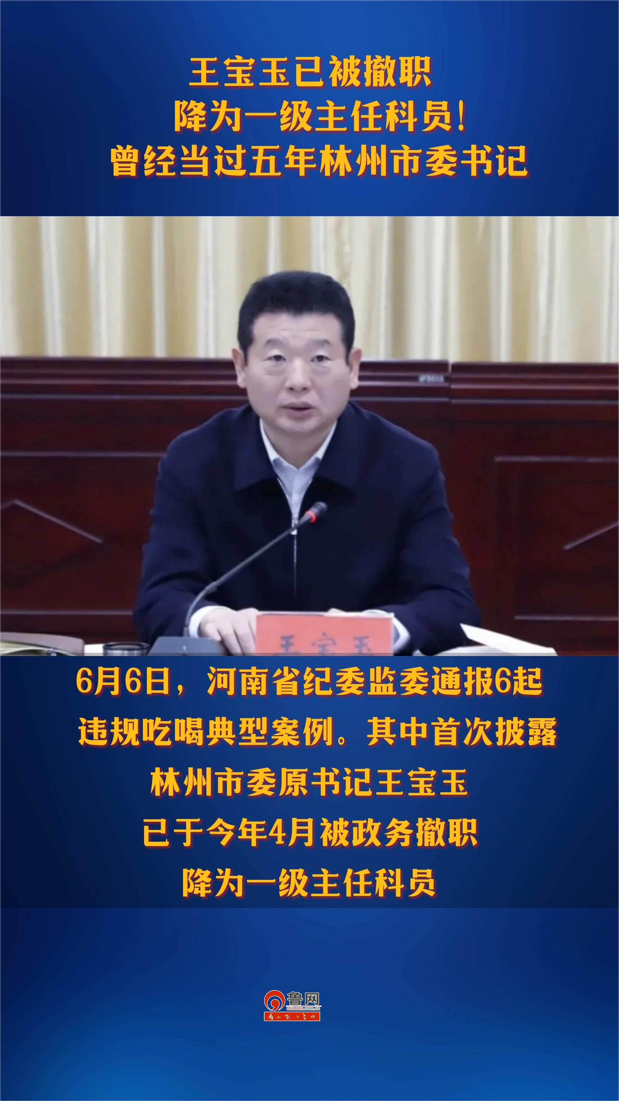 王宝玉已被撤职 降为一级主任科员!曾经当过五年林州市委书记-度小视