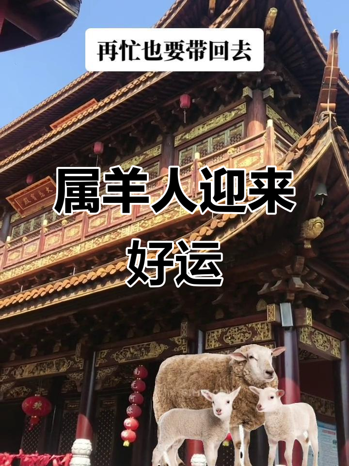 生肖羊2023的运势排名(2023生肖羊的运势大全)