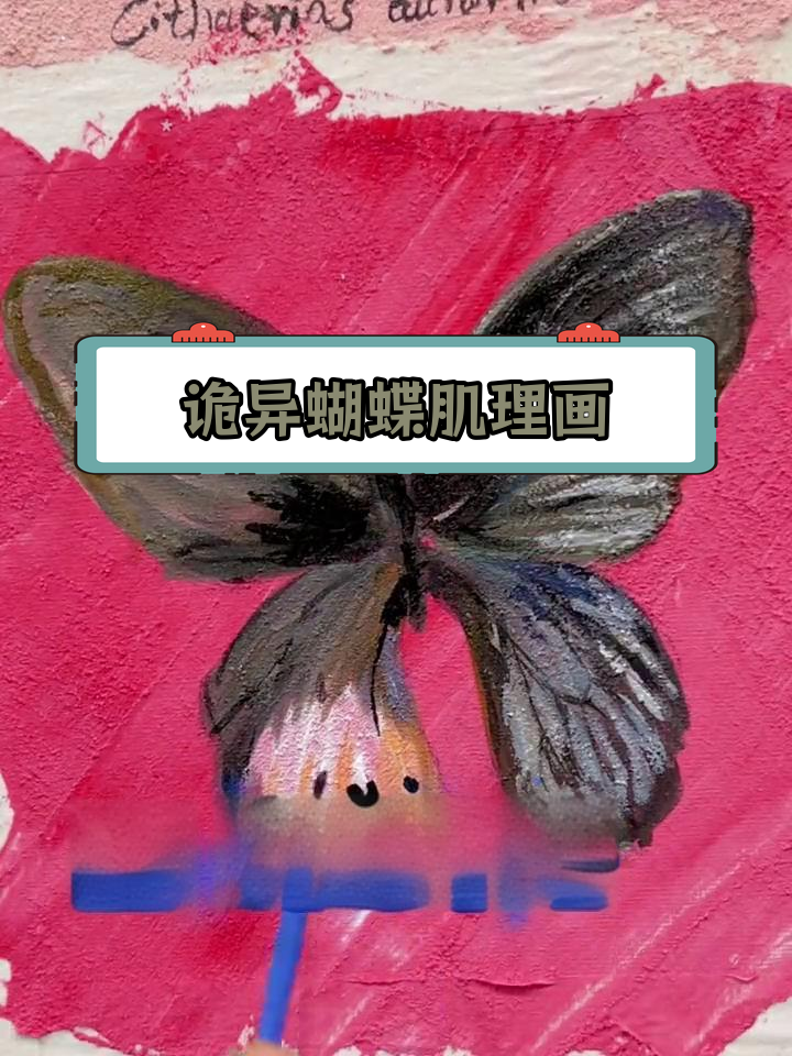 卡申夫鬼美人凤蝶的神秘翅膀