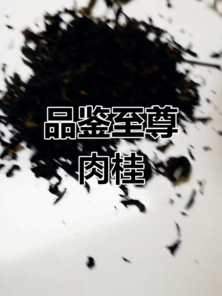 武夷岩茶肉桂分类图片