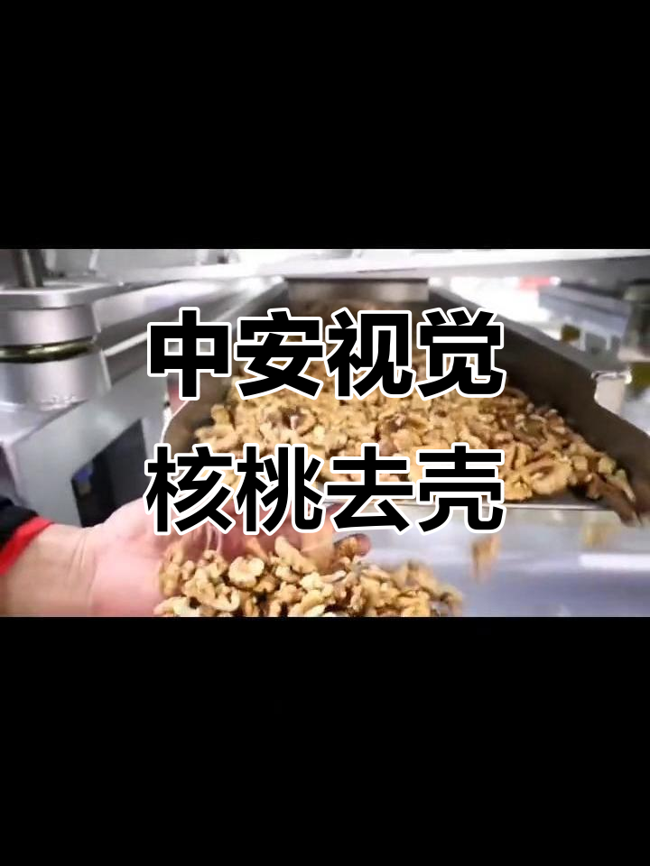 合肥中安视觉核桃剥壳取仁机现场演示,实力厂家直击源头