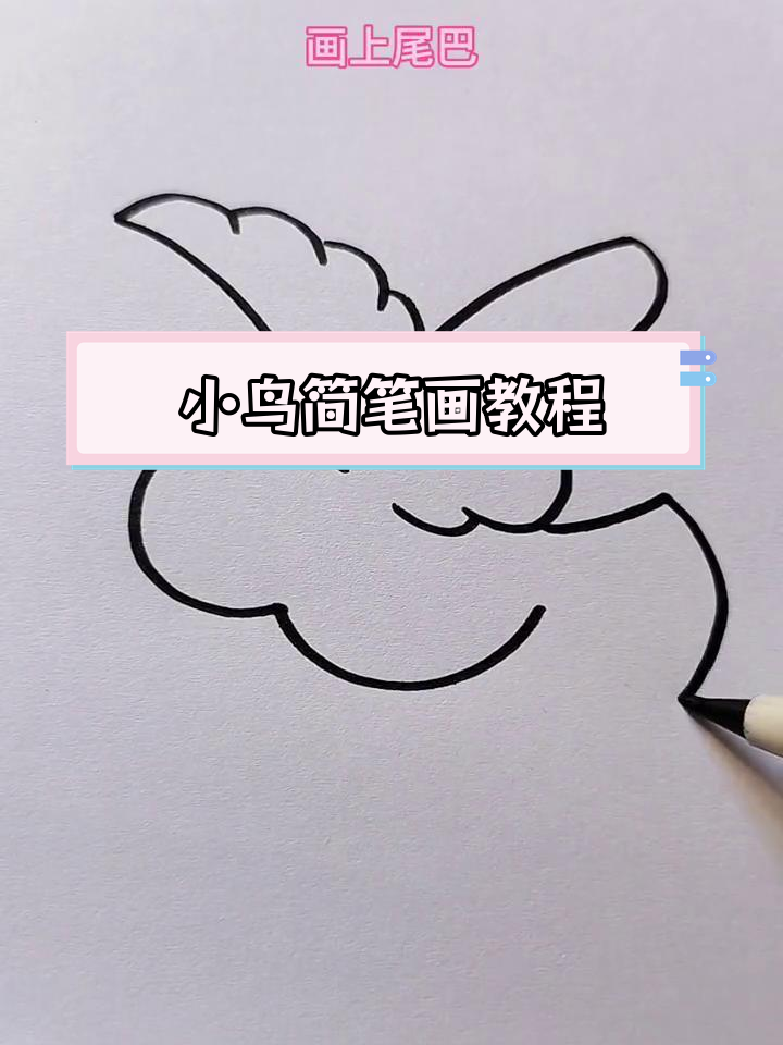 简单几步画出小鸟