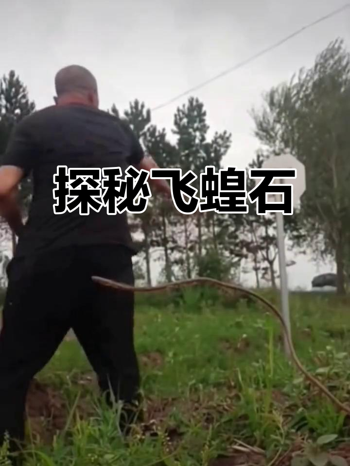 飞蝗石:神秘的自然奇观