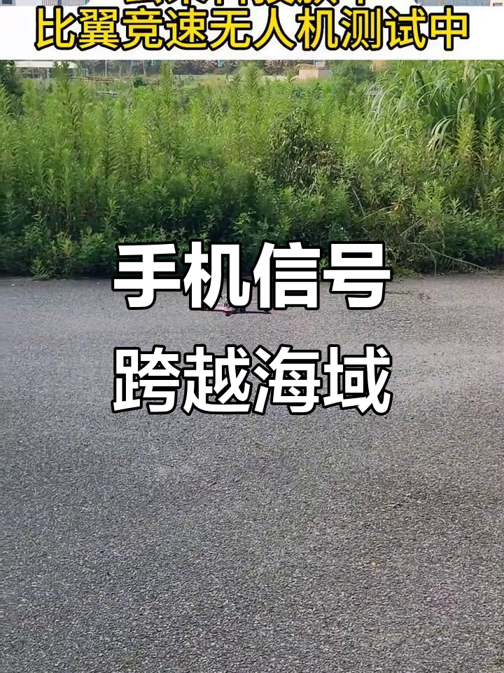 短信接收国内 短信接收国内