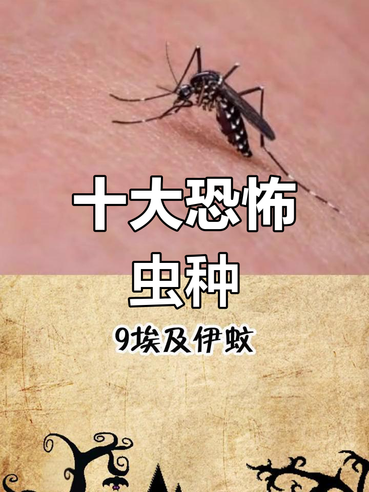 世界上最恐怖的虫子,最后一个至今无法解释