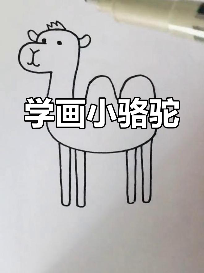 如何画骆驼简笔画图片