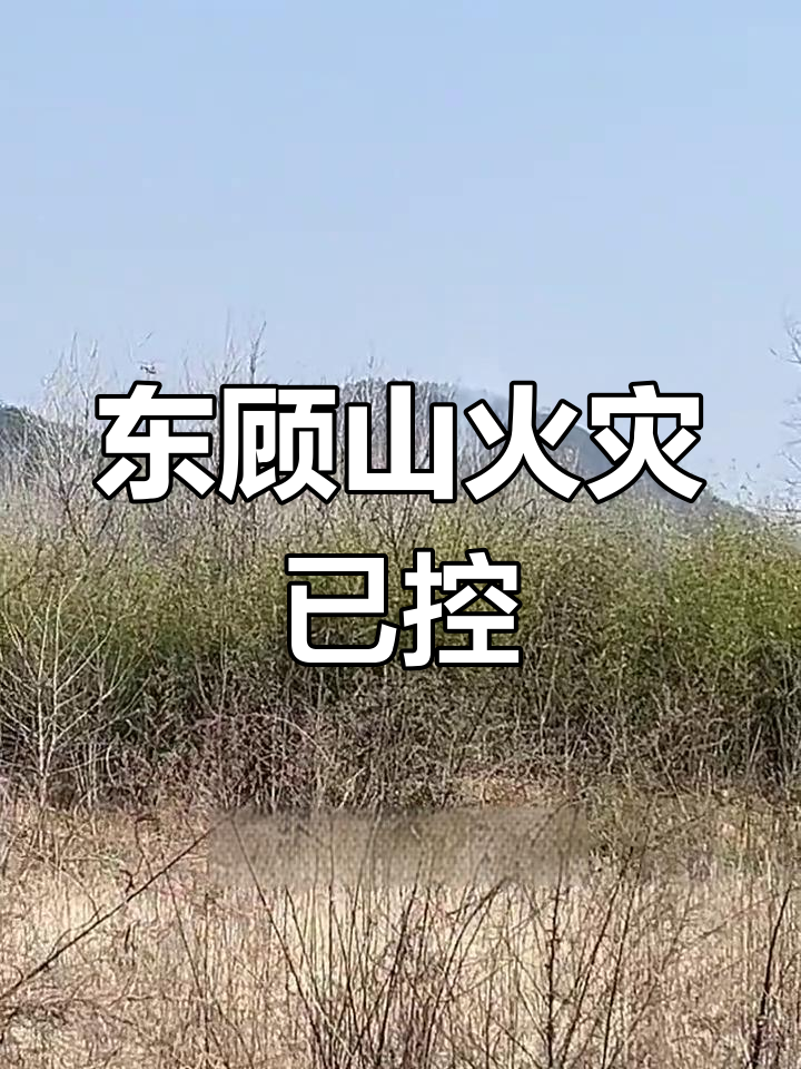 庐江东顾山火灾已控制,提醒大家注意用火安全