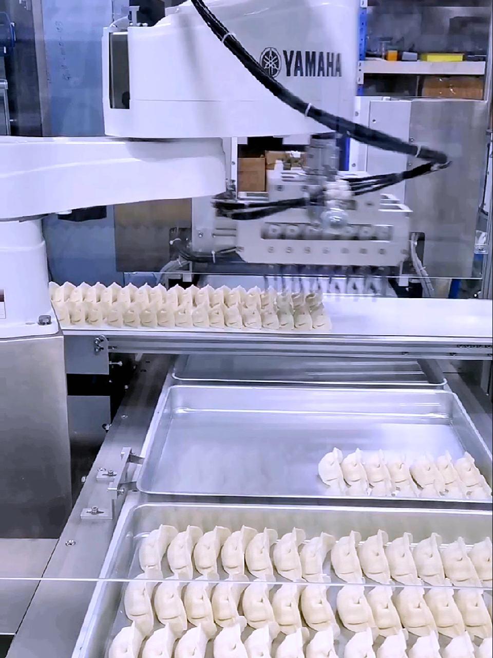 包饺子神器 全自动饺子机 自动化生产线 创业 饺子🥟