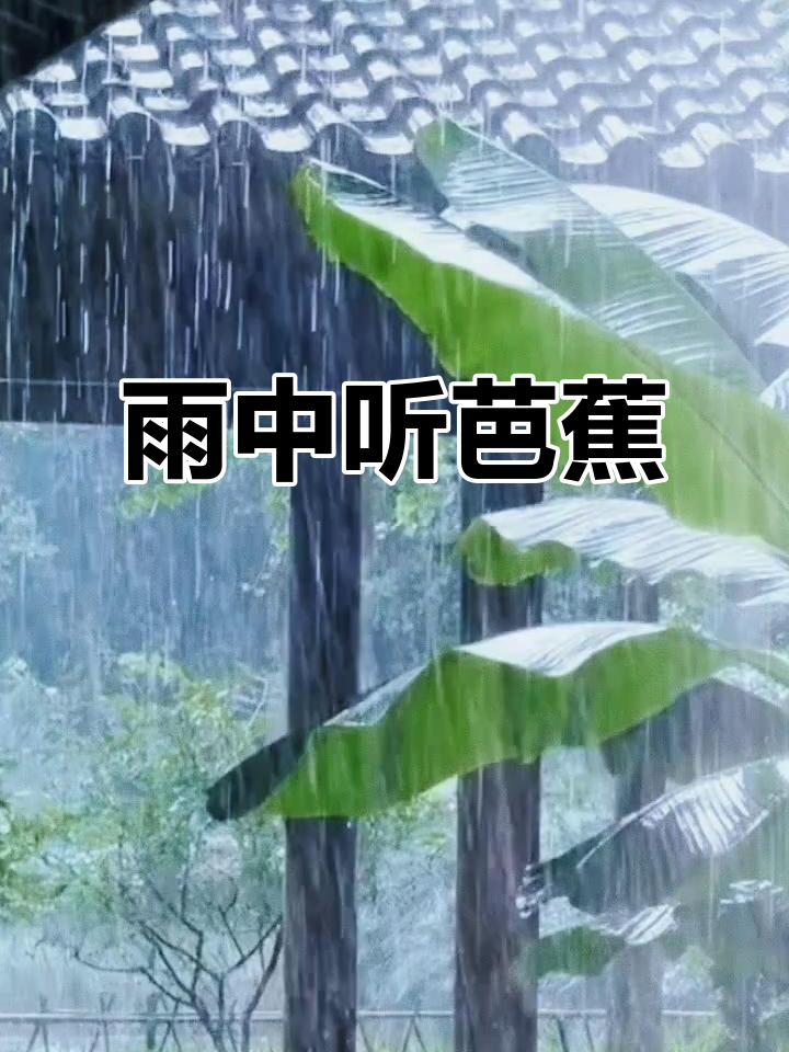 雨打芭蕉听闲愁,端午节安康