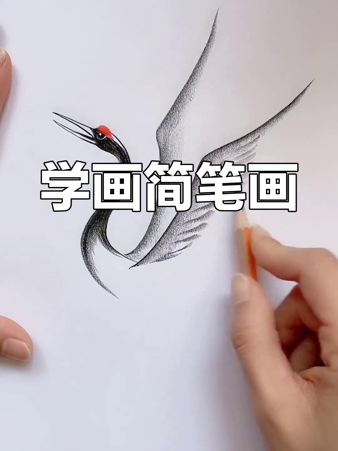 轻松学画鹤,简单又好看