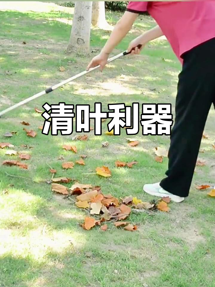 扫叶神器,铁爪耙子轻松清理落叶,伸缩设计更省力