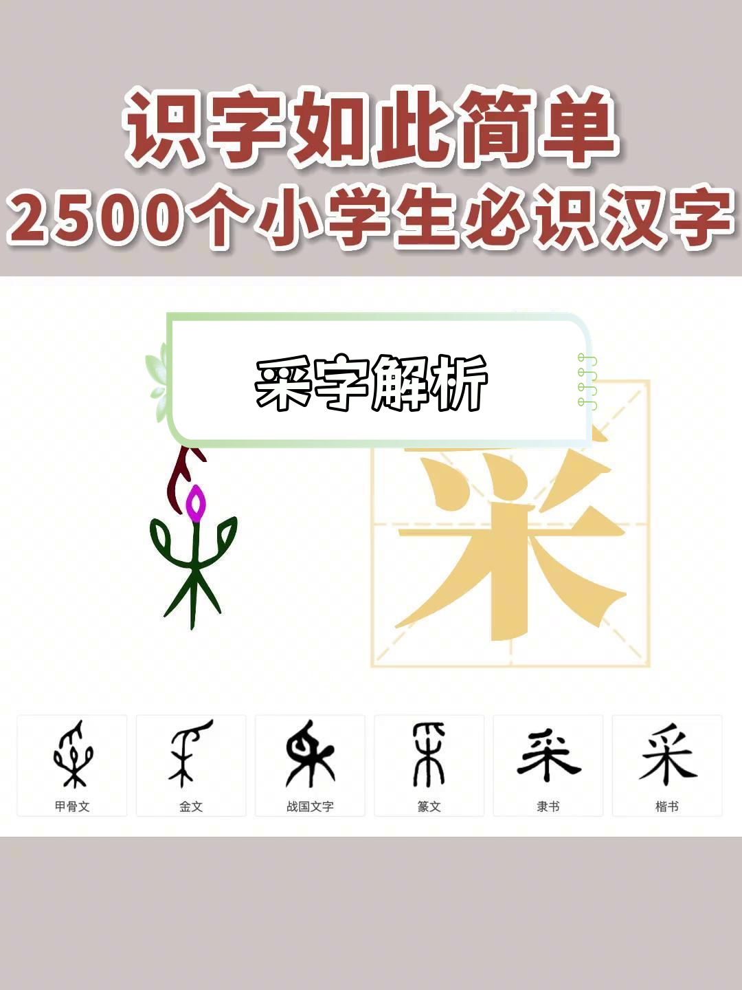 采是什么造字法