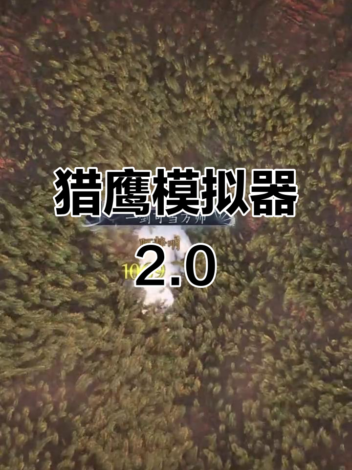 终极猎鹰模拟器