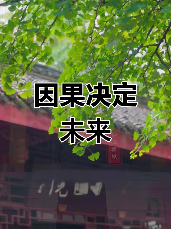 因果报应,善恶自得