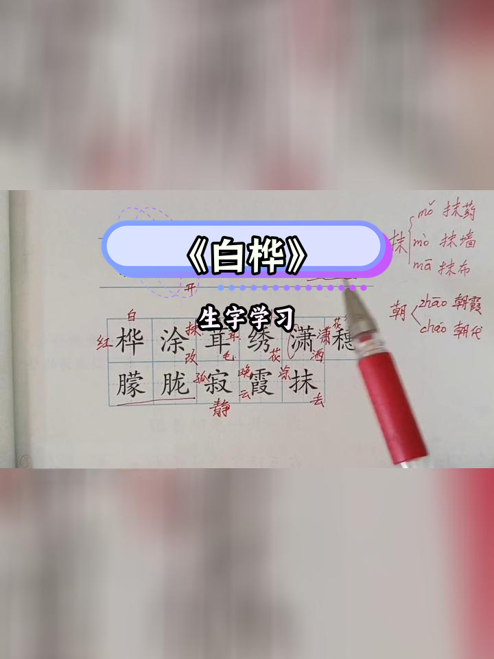 四年级下册《白桦》生字与多音字解析