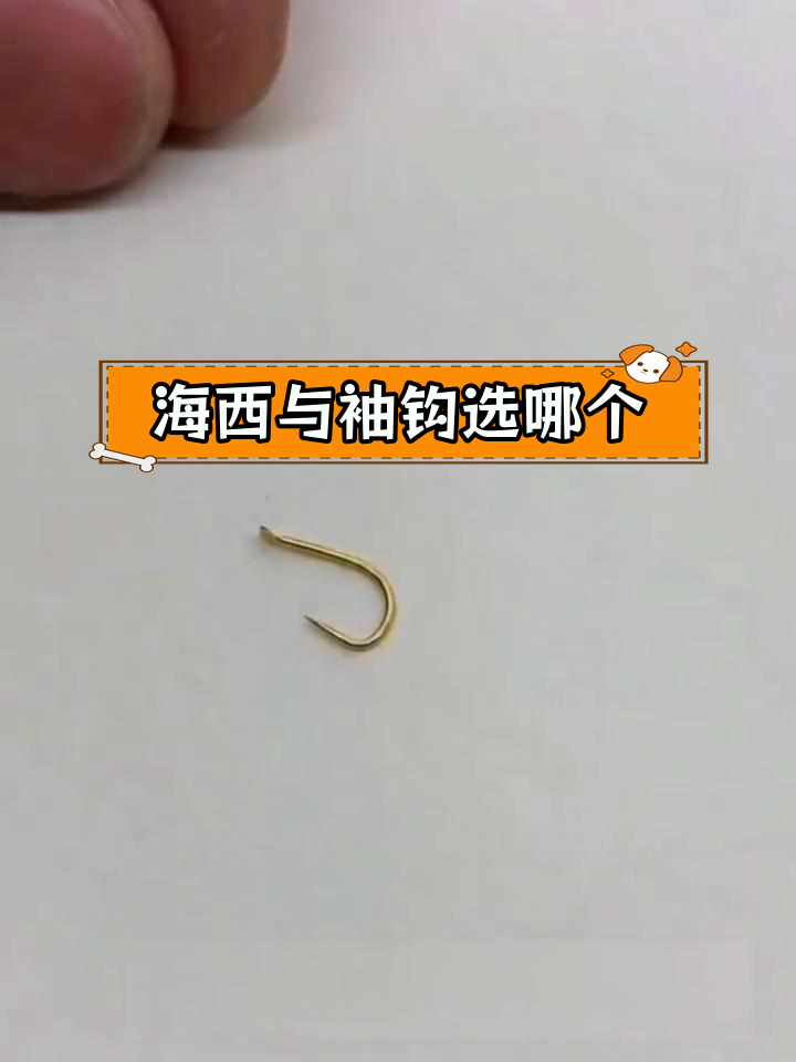 3号袖钩钓多大鲫鱼图片