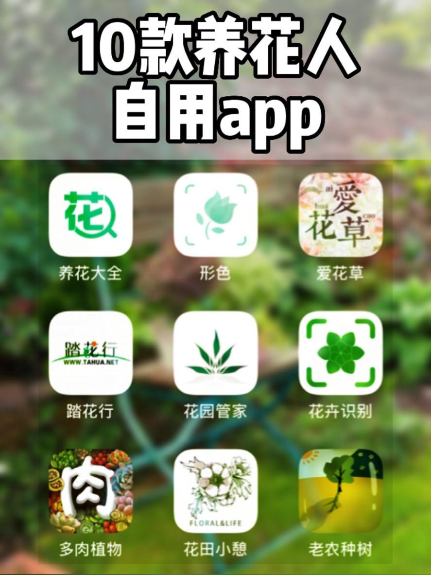 定期送花的app图片