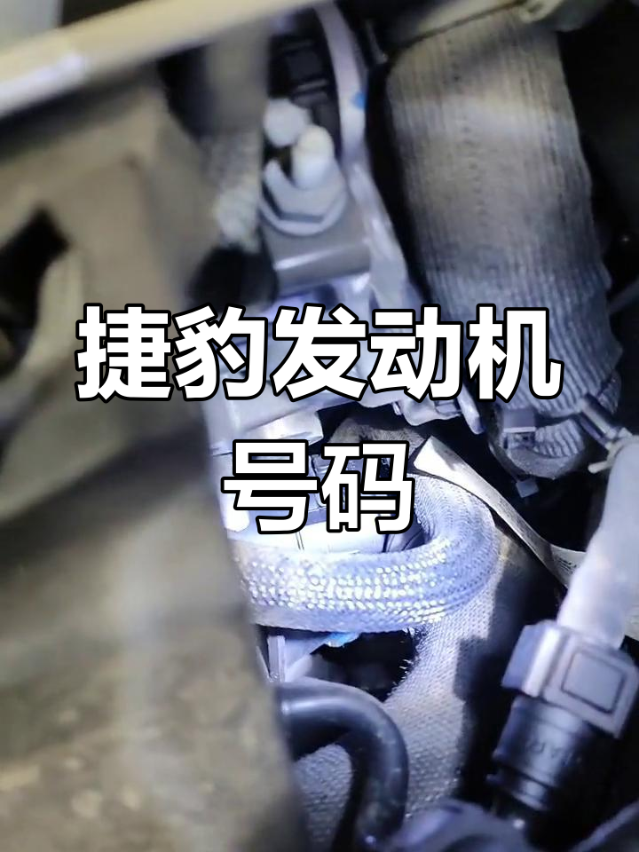 捷豹发动机号位置解析