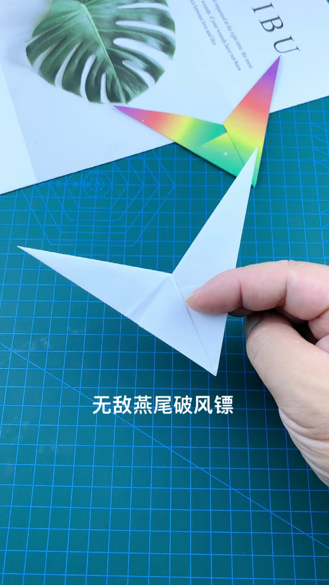 炫酷的无敌燕尾破风镖