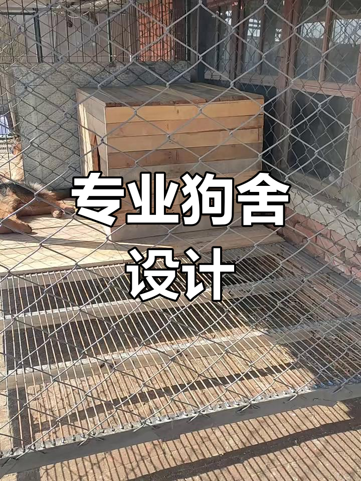 建造专业狗舍,挑战与乐趣并存