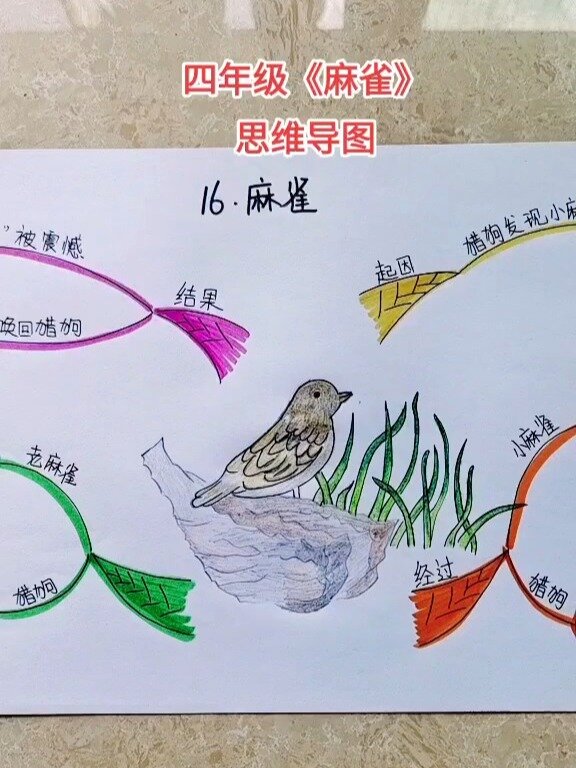 四年级语文《麻雀》思维导图