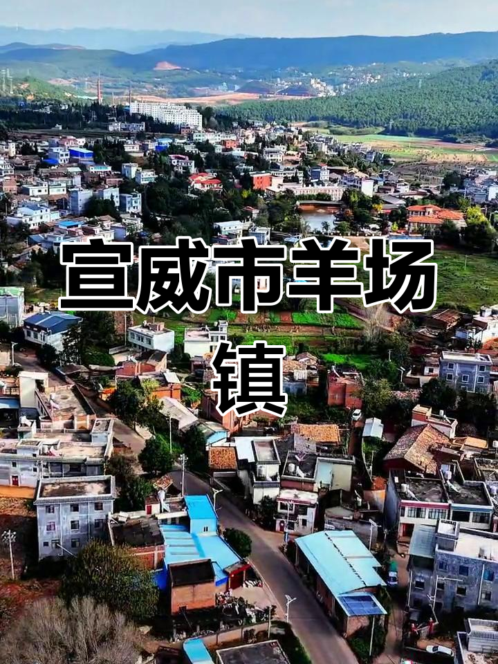 羊场镇:历史与工业并存的魅力集镇