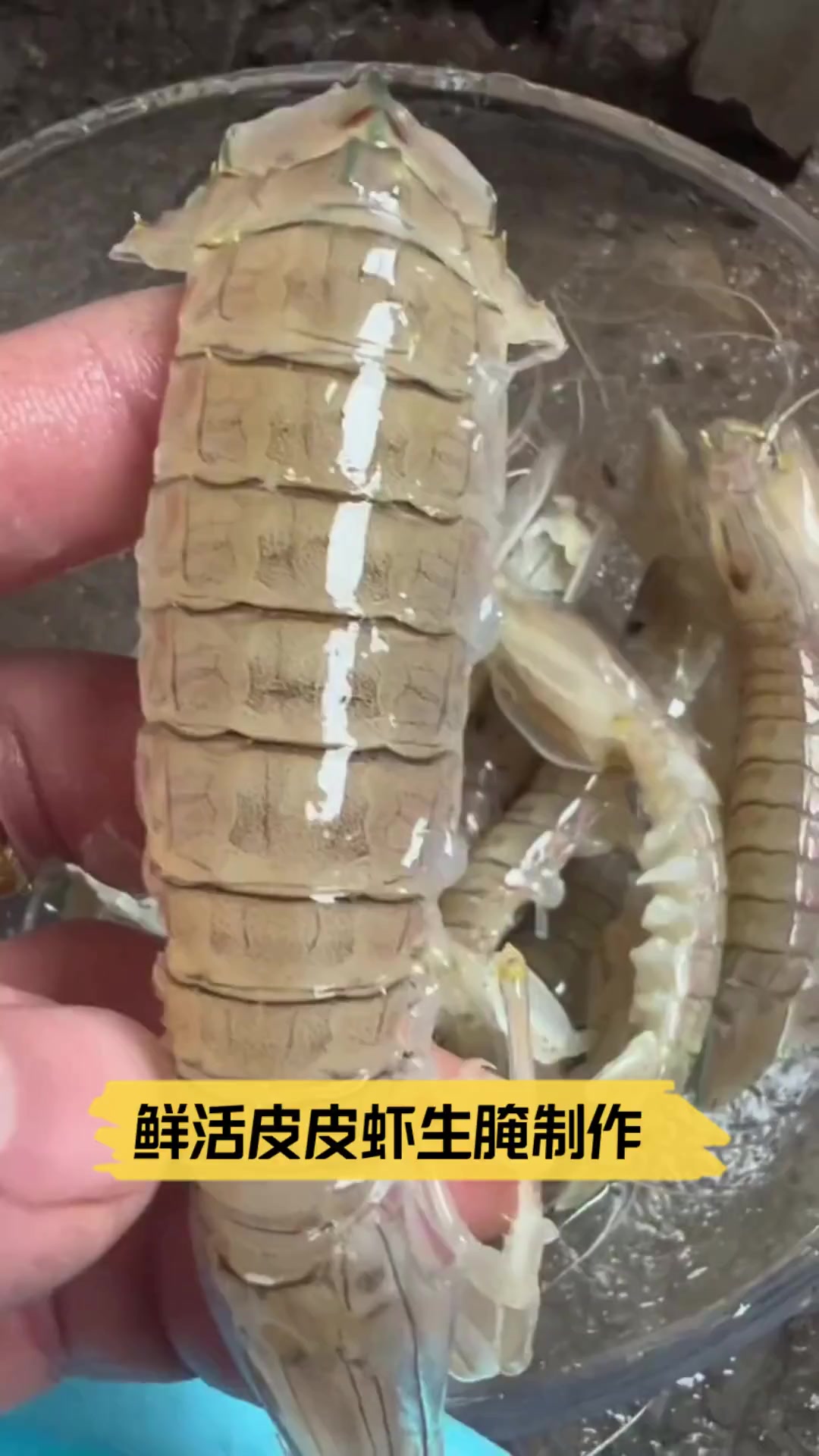 鲜活皮皮虾生腌制作