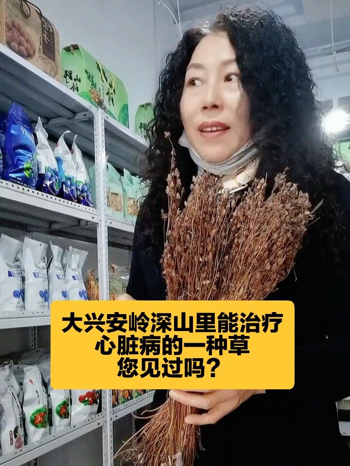 稳心草的功效图片