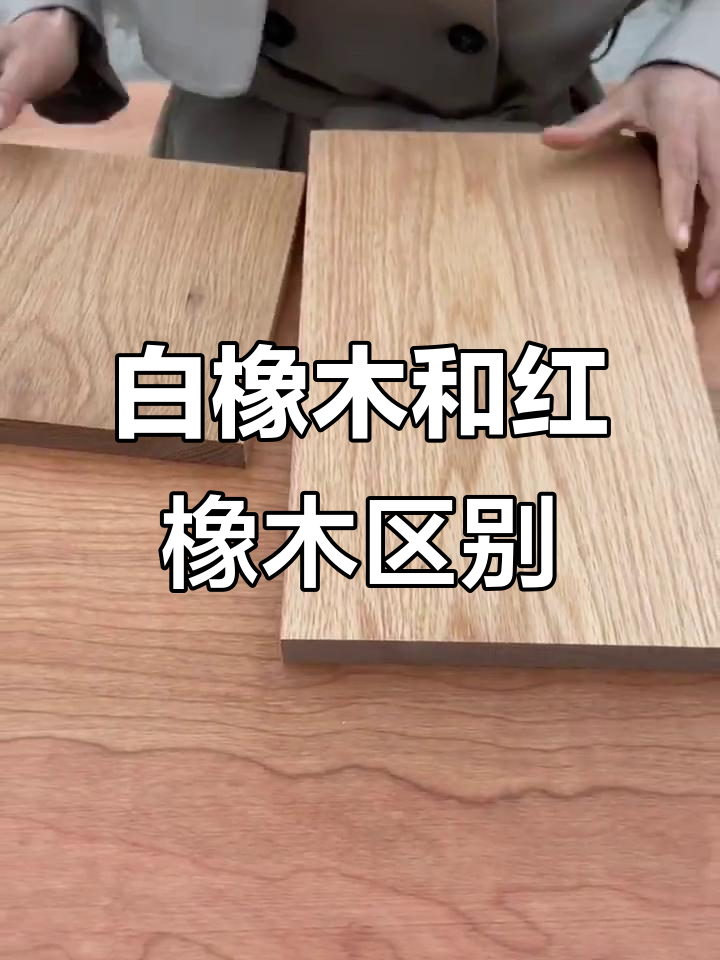 如何区分白橡木与红橡木?3个关键点教你轻松辨别