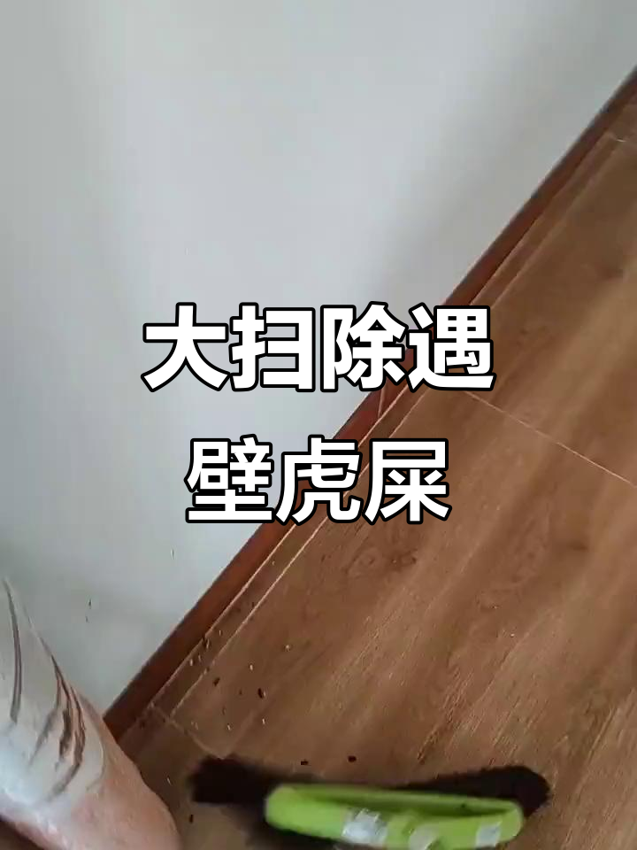 农村大扫除,壁虎屎满地都是!