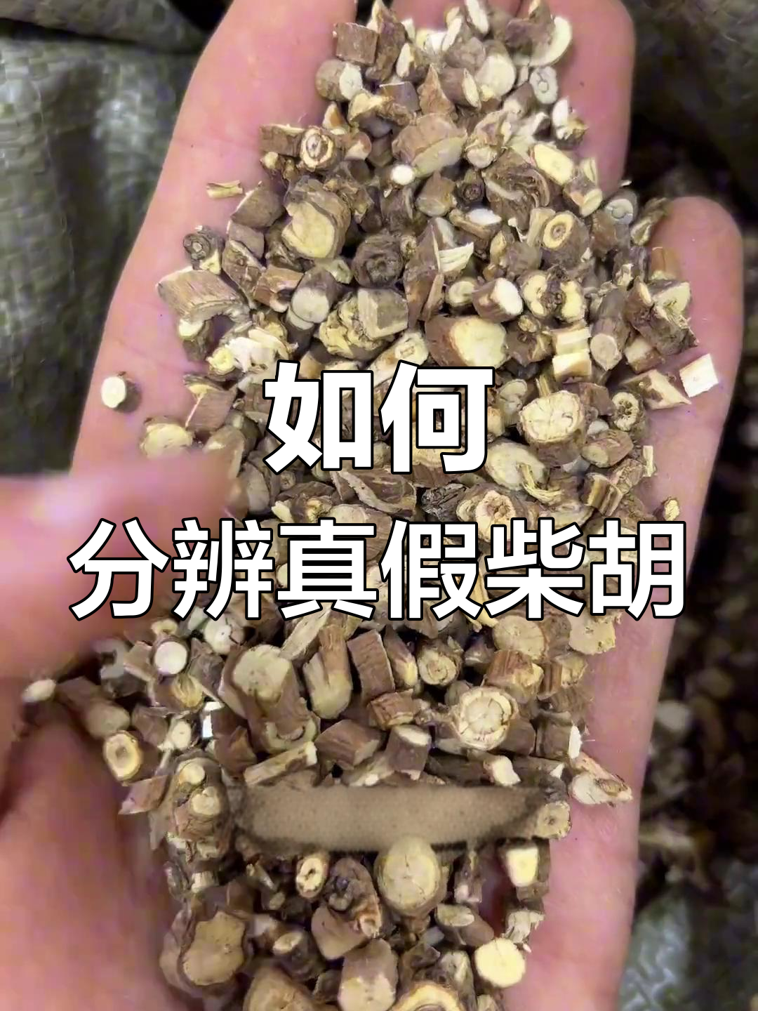 柴胡网购套路揭秘:四种品种如何辨别真伪