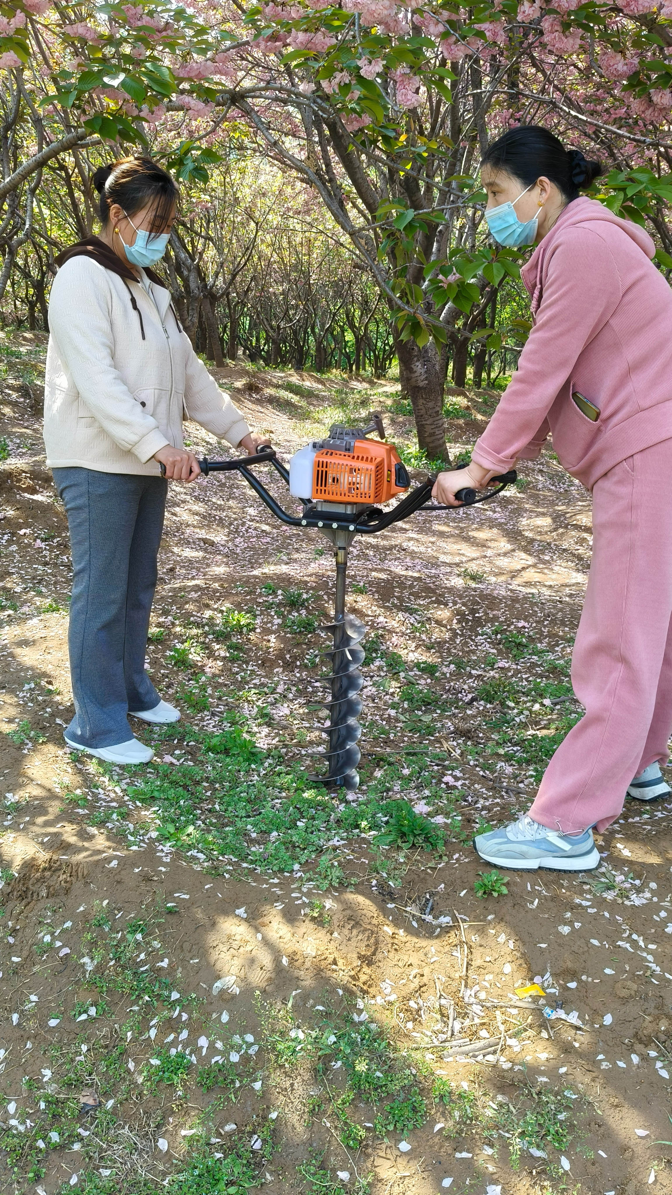 立柱埋桩电线杆挖洞机 大马力汽油打眼机 大棚栽杆支架地钻