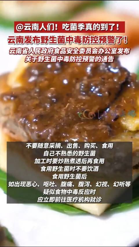 云南野生菌云南发布野生菌中毒防控预警了夏季是各类野生菌生长的旺季