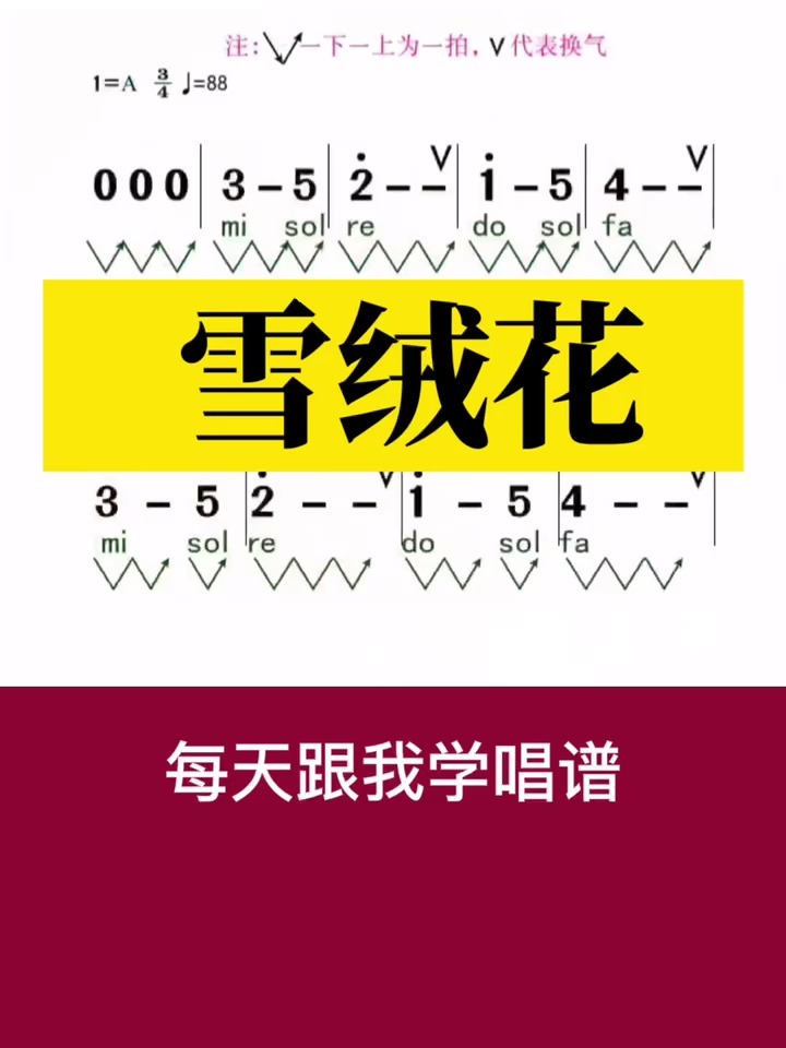 0基础学唱谱《雪绒花》