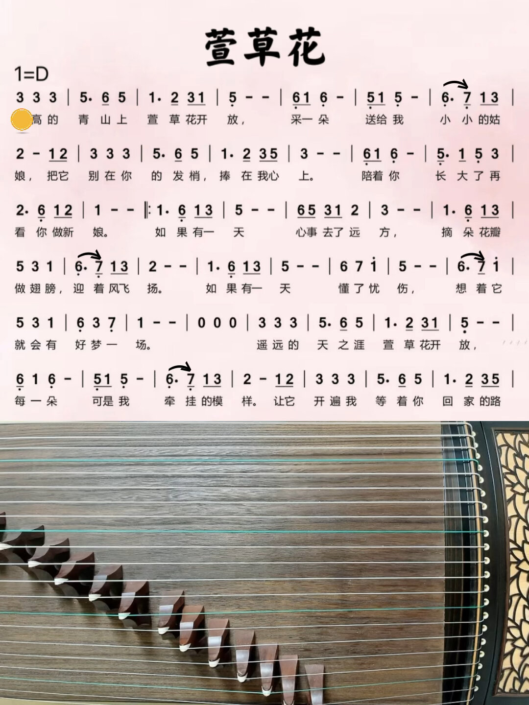 古筝《萱草花》d调动态曲谱 伴奏 示范