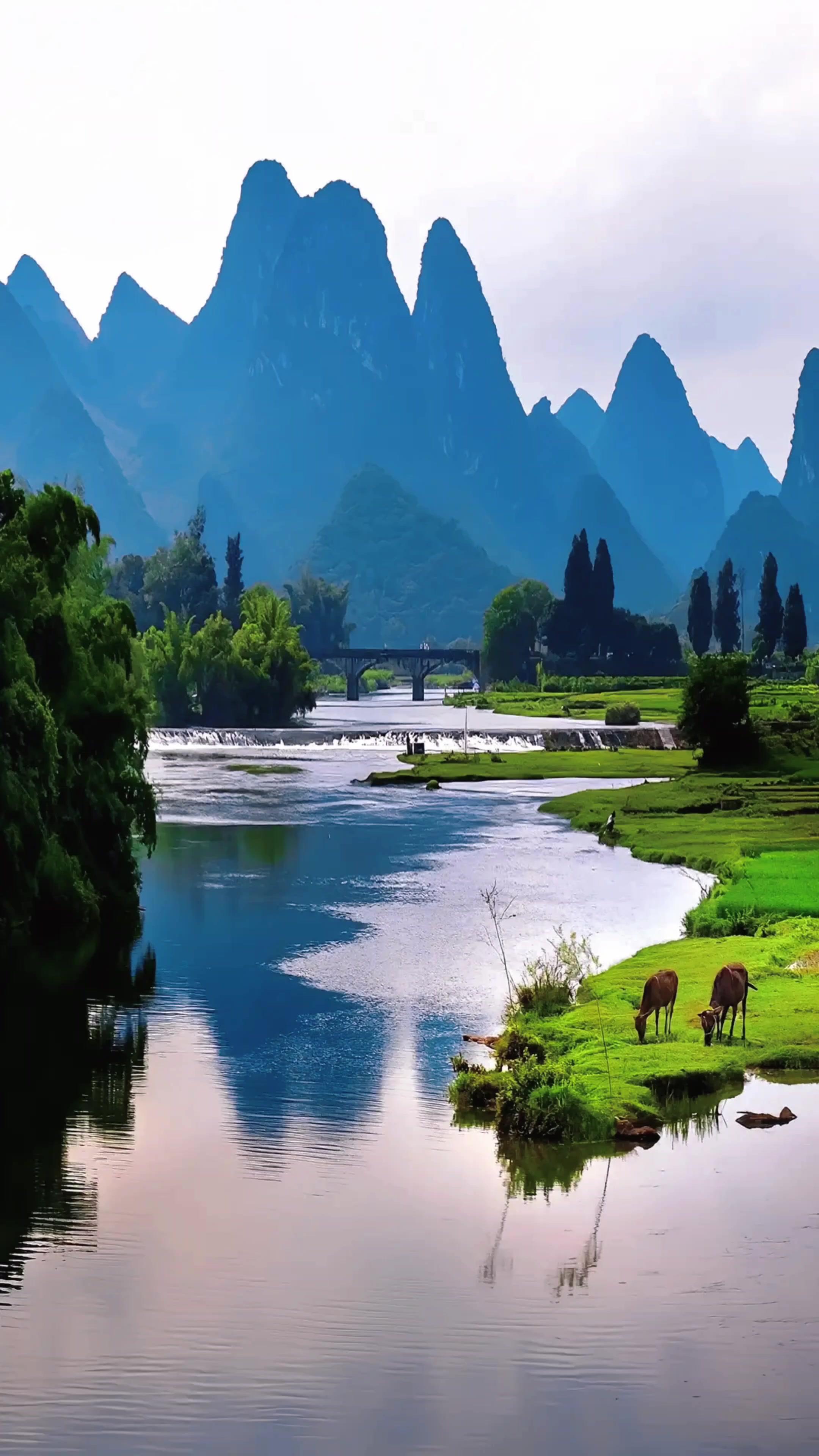 静享时光唯美风景不求所有的日子都泛着光只愿每一天都承载着健康看见