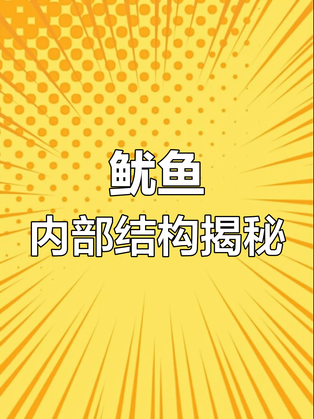 巨型鱿鱼解剖揭秘:内藏透明骨骼与丰富内脏