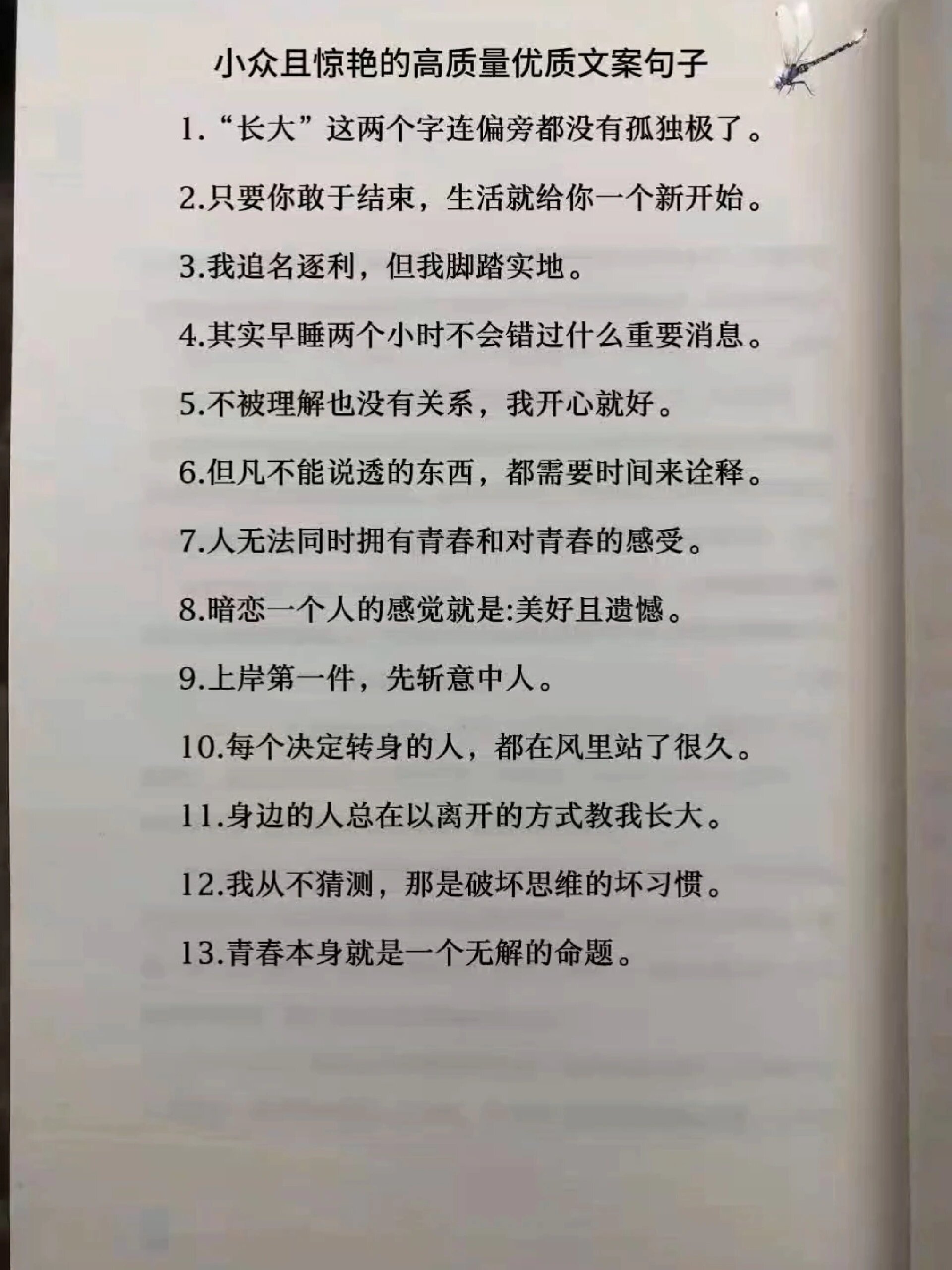 小众且惊艳的高质量优质文案句子