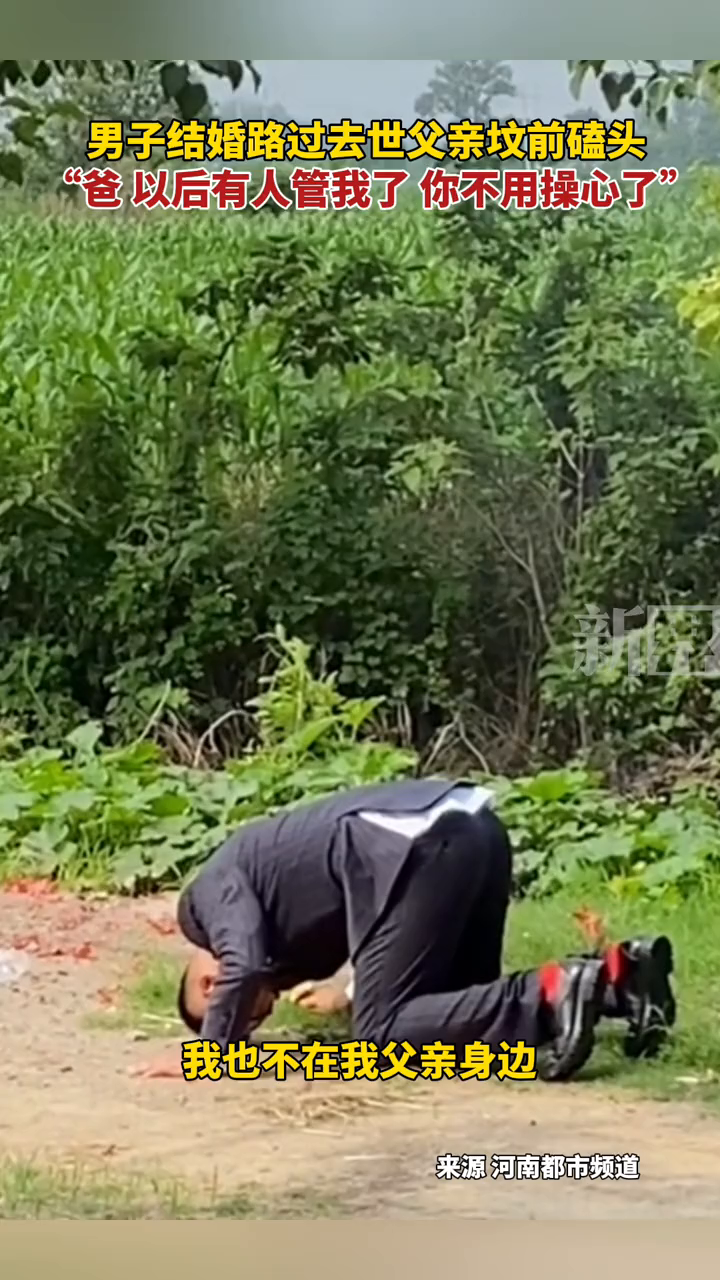 男子结婚路过去世父亲坟前磕头,"爸 有人管我了 你不用操心"