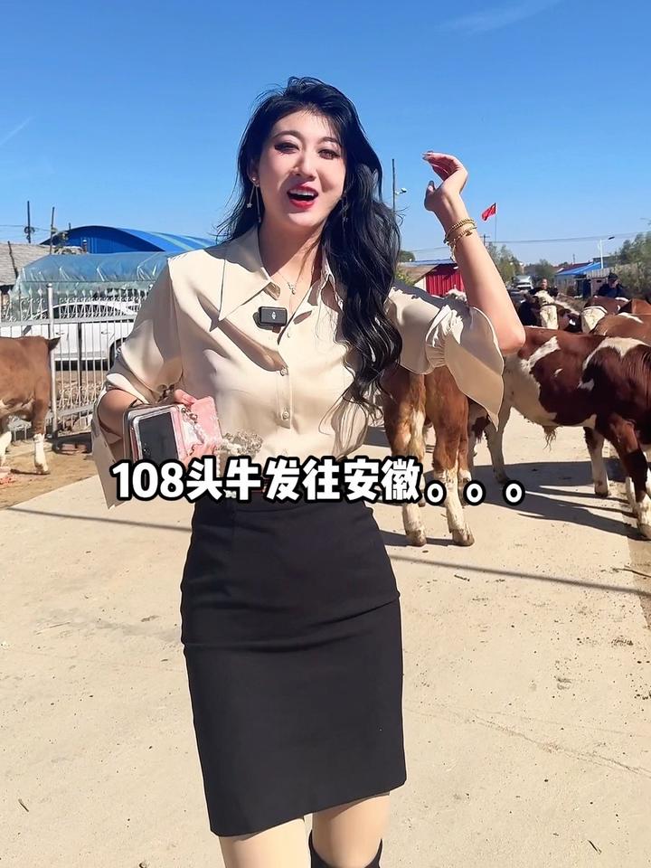 108头吉林牛飞安徽!108头牛去安徽啦!微光点亮乡村