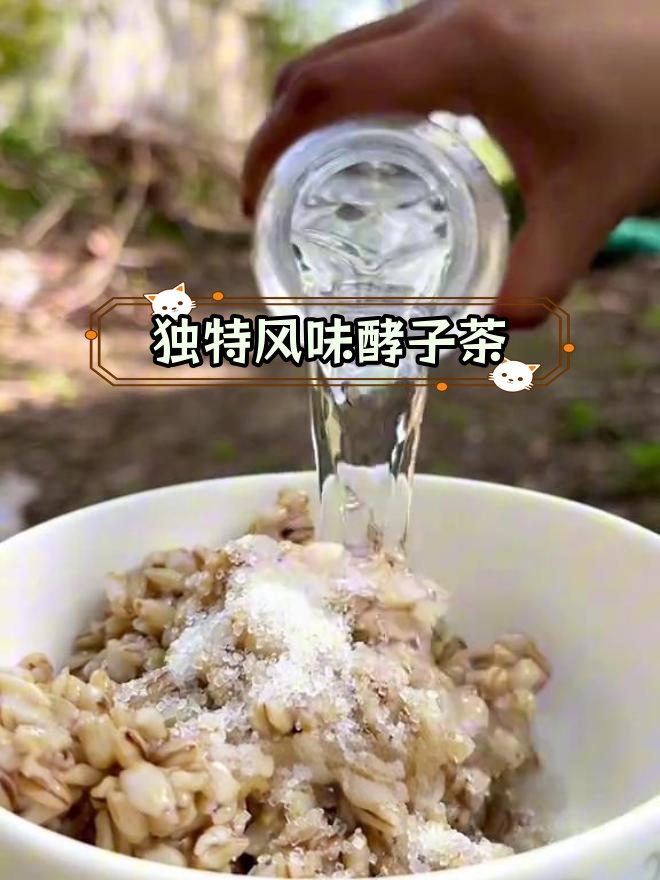 阜阳酵子茶图片