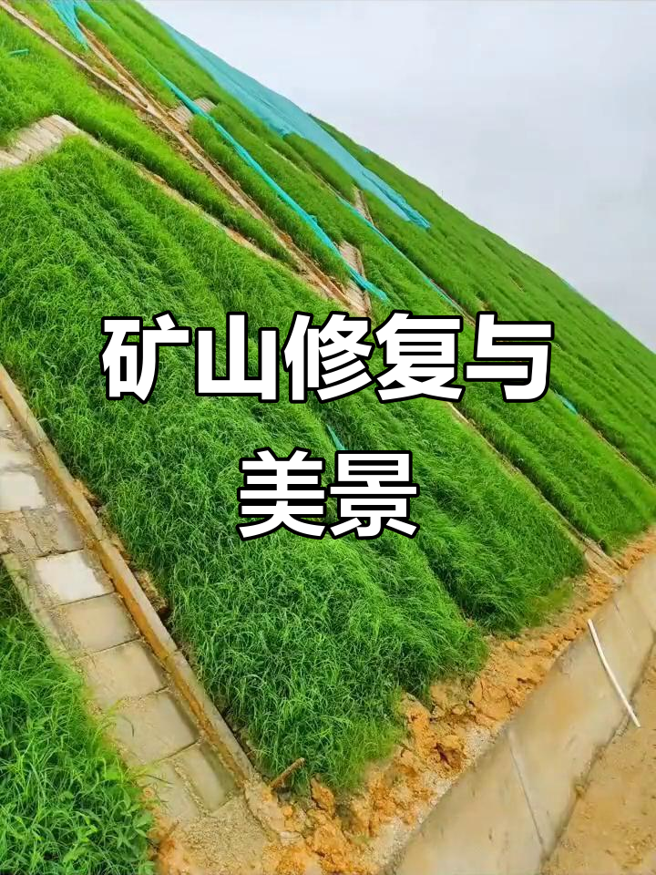 矿山绿化,守护生态,减少灾害风险,美化废弃土地